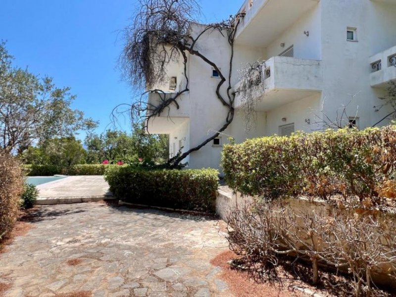 Agios Nikolaos Kreta, Agios Nikolaos: Schöne Ferienwohnungen mit Pool, Garten und Meernähe zur Renovierung Gewerbe kaufen